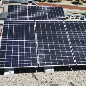 WhatsApp Image 2022-06-09 at 2.01.57 PM