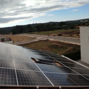 WhatsApp Image 2022-06-24 at 9.31.19 AM